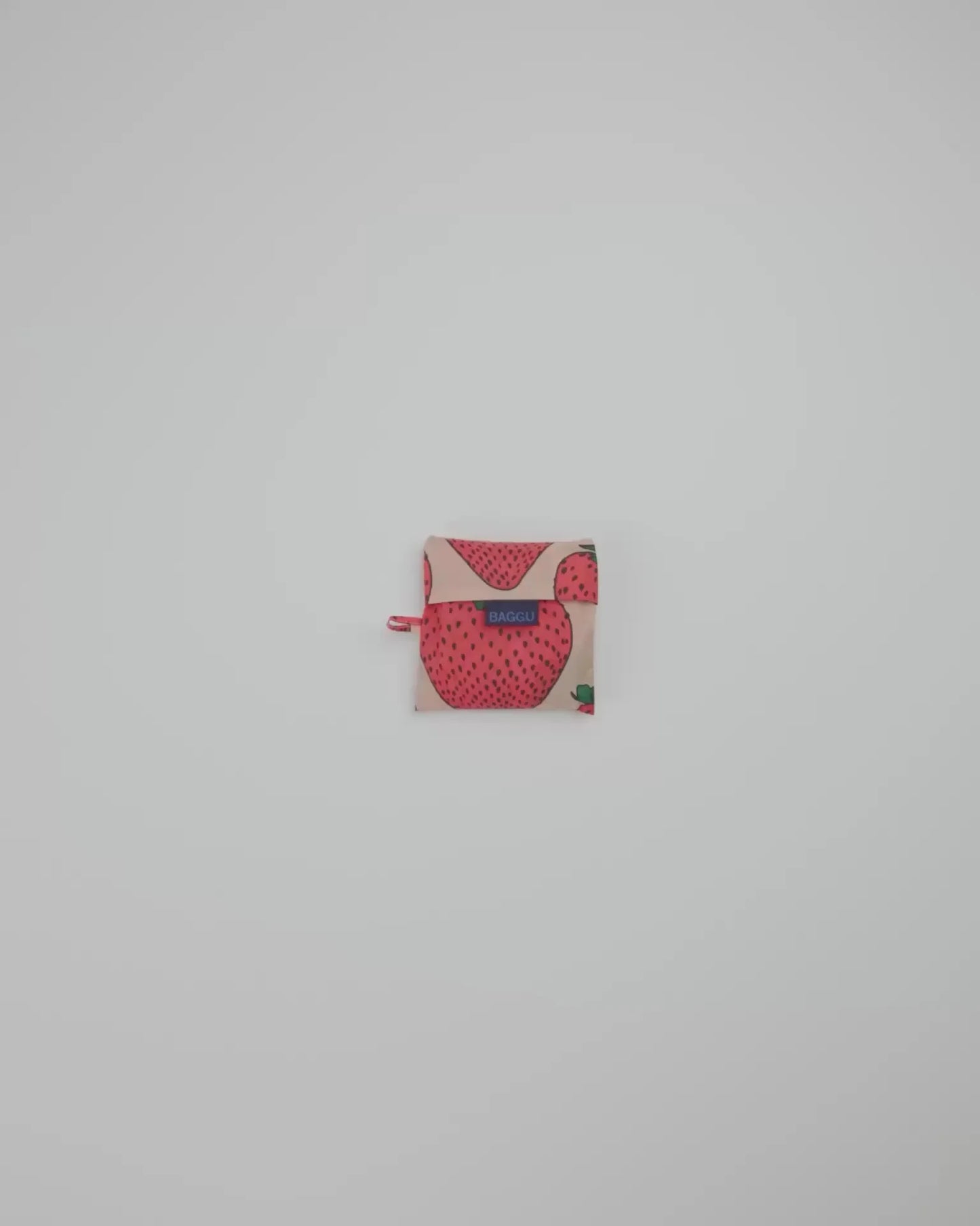 STANDARD BAGGU - US 7181